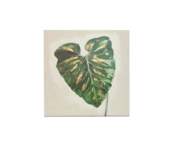 TELA OLEO 60x60x3 JYO21270