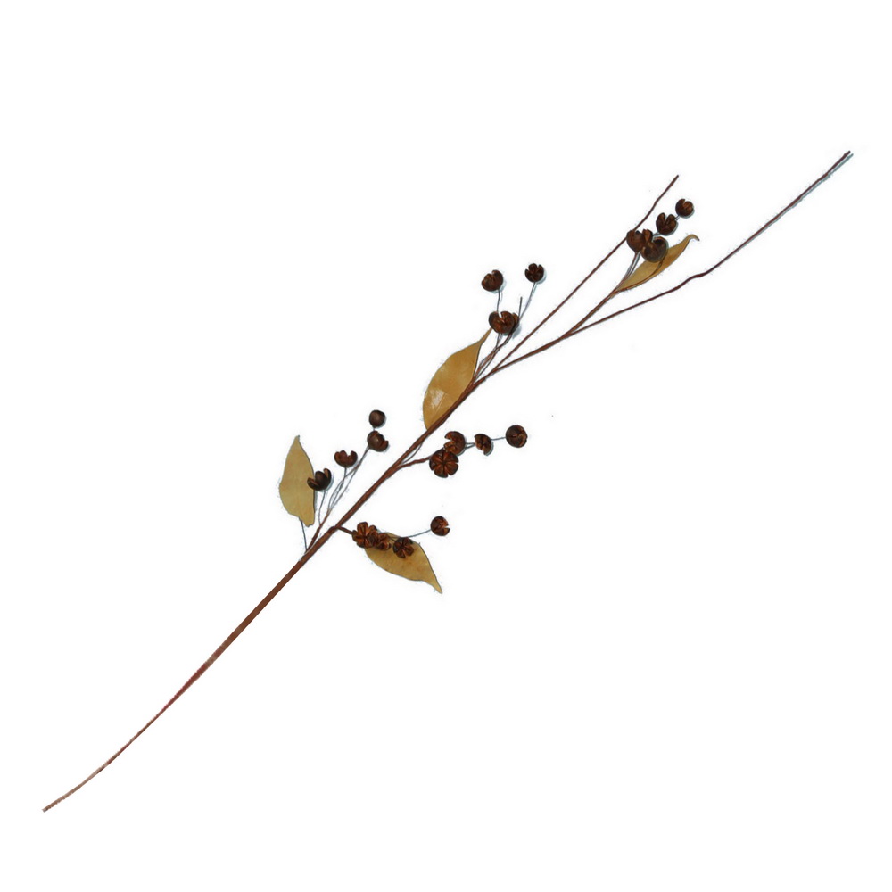 HASTE FRUT SECOS 80cm WK0811