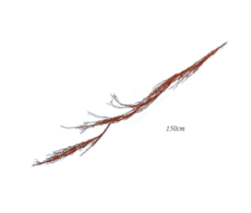 HASTE COB 150cm CF82623-1