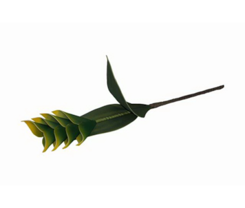 HASTE FLOR VERD/AMAR W100612083