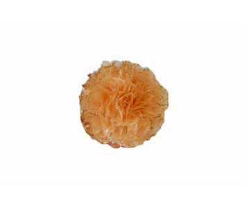 BOLA DEC 10cm SALMAO SN60046-18
