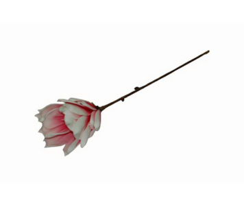 HASTE FLOR 70cm ROSA W202126B