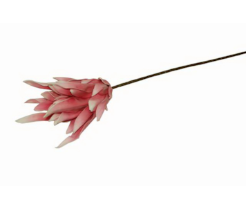 HASTE FLOR 90cm ROSA W20812452