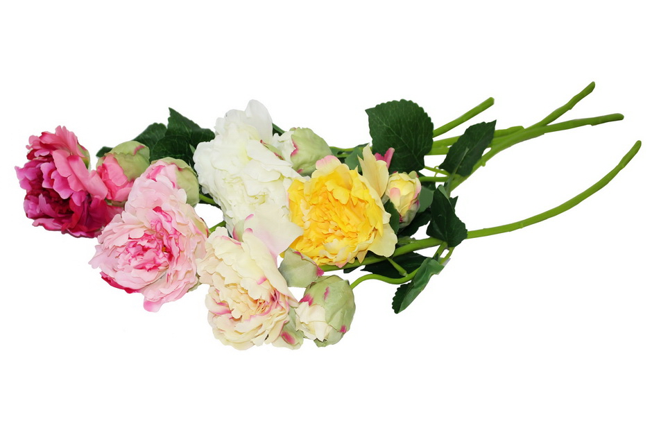 HASTE PEONEA X1 C/ BOTAO 20134