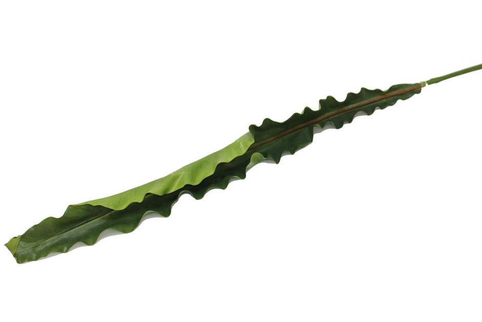 FOLHA ESTRELICIA 116cm 12387