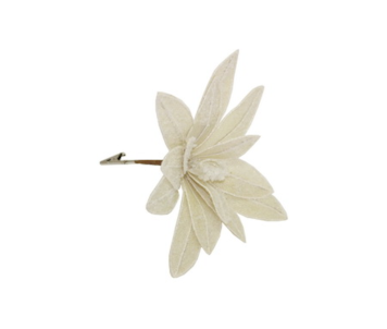 POINSETIA PICK D22x18 BEJE HY12515-H272
