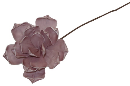 HASTE MAGNOLIA ROSA EAF12-776FF