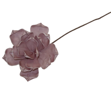 HASTE MAGNOLIA ROSA EAF12-776FF