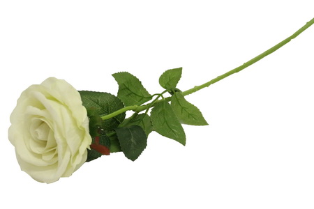 HASTE ROSA PERO TCTS1903-9