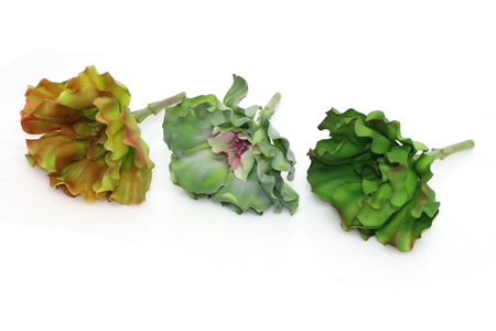 COUVE 3 Sort TZM1071