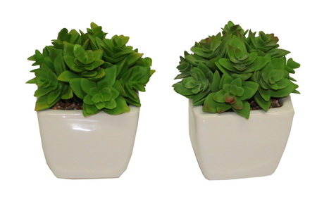 VASO C/CACTO 3 S TZM191010-8 #1#8