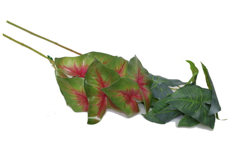 FOLHAGEM CALADIUM 70cm 37023