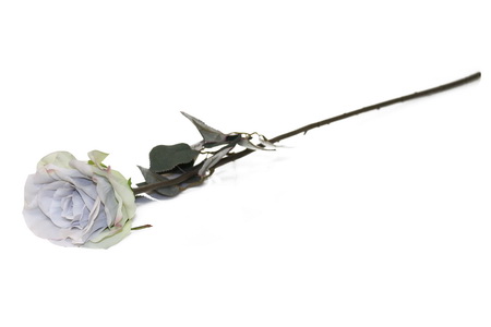 HASTE ROSA AZUL 76cm BY19212#3