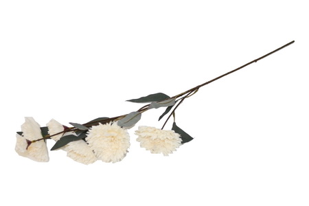 HASTE FLOR PERO 80cm BY19216#1