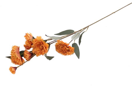 HASTE FLOR TELH 80cm BY19216#7