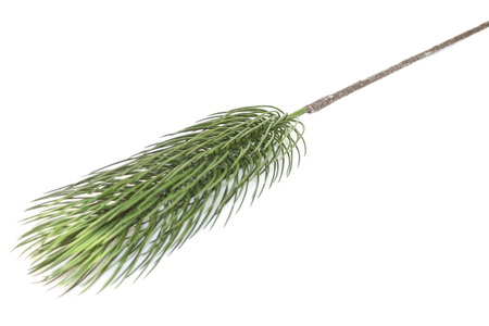 HASTE PINHEIRINHO 105cm BY192006