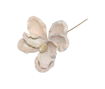 HASTE MAGNOLIA 59cm TAUP FD299301#9