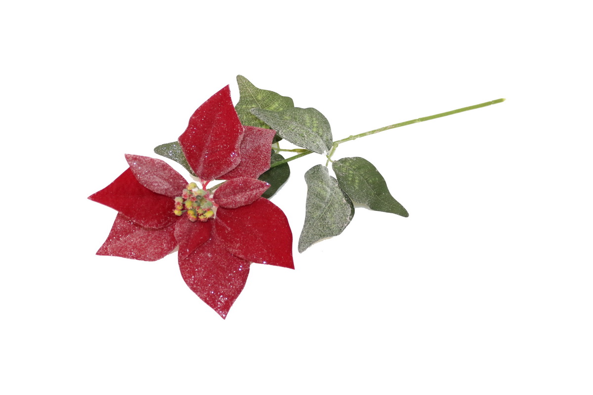 HASTE PONSETIA 50cm VERM HZY01106