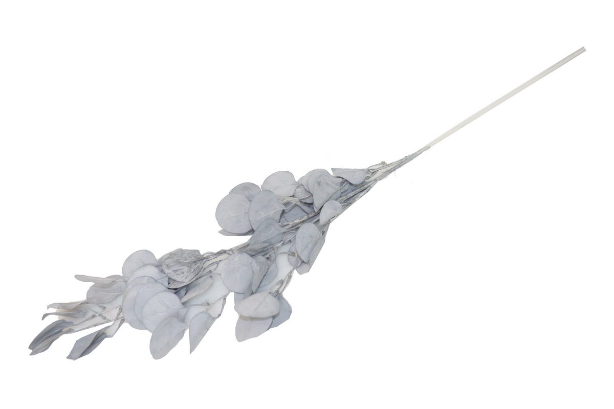 HASTE EUCALIPTO 107cm AZ TS2019X009#4