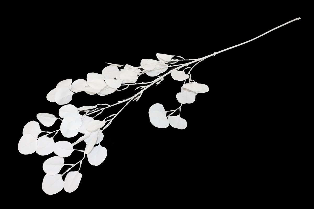 HASTE EUCALIPTO 107cm  TS2019X009#5