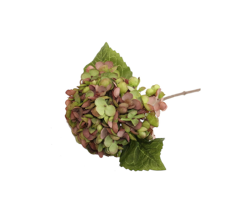 HASTE HORTENSE 33cm ROSA TSQ190145#8