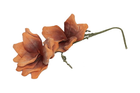 HASTE MAGNOLIA 100cm TELH TL06925-AJ