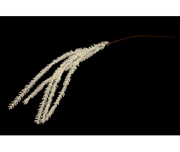 HASTE FLOR 120cm BRAN TL04245A-AA