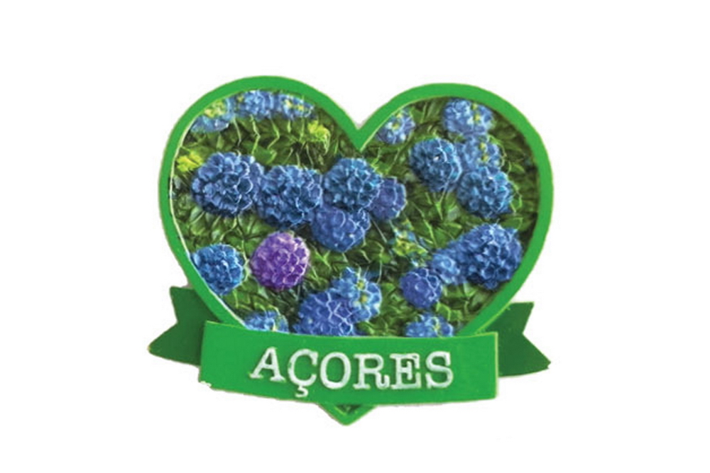 IMAN POL CORACA HORT XIMAN/PR-570