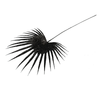 HASTE FETO PRETO 78cm MFT13836K