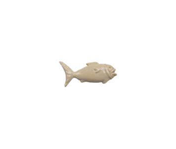 PEIXE SALM 16x10 865 314