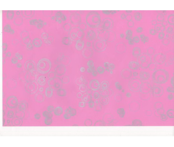 ROLO PAPEL ROSA BOLINH PRATA 157