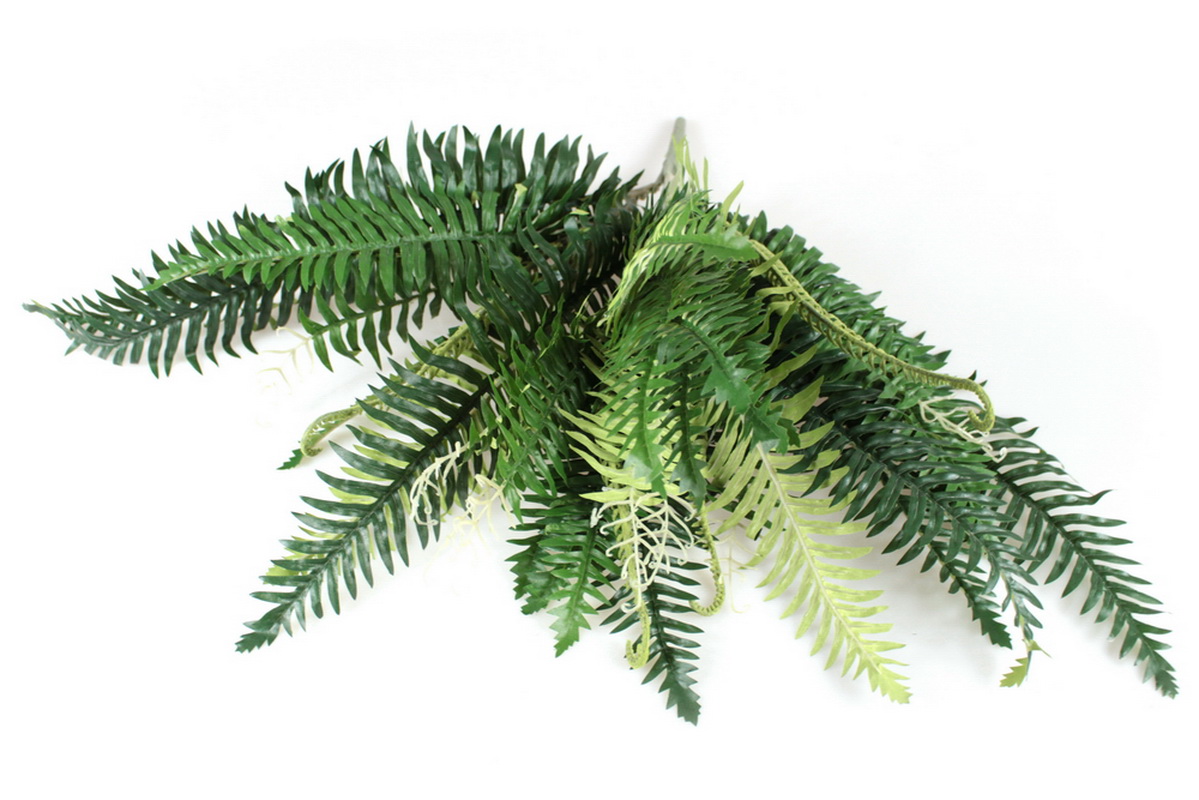 RAMO FETOS 60cm 10939