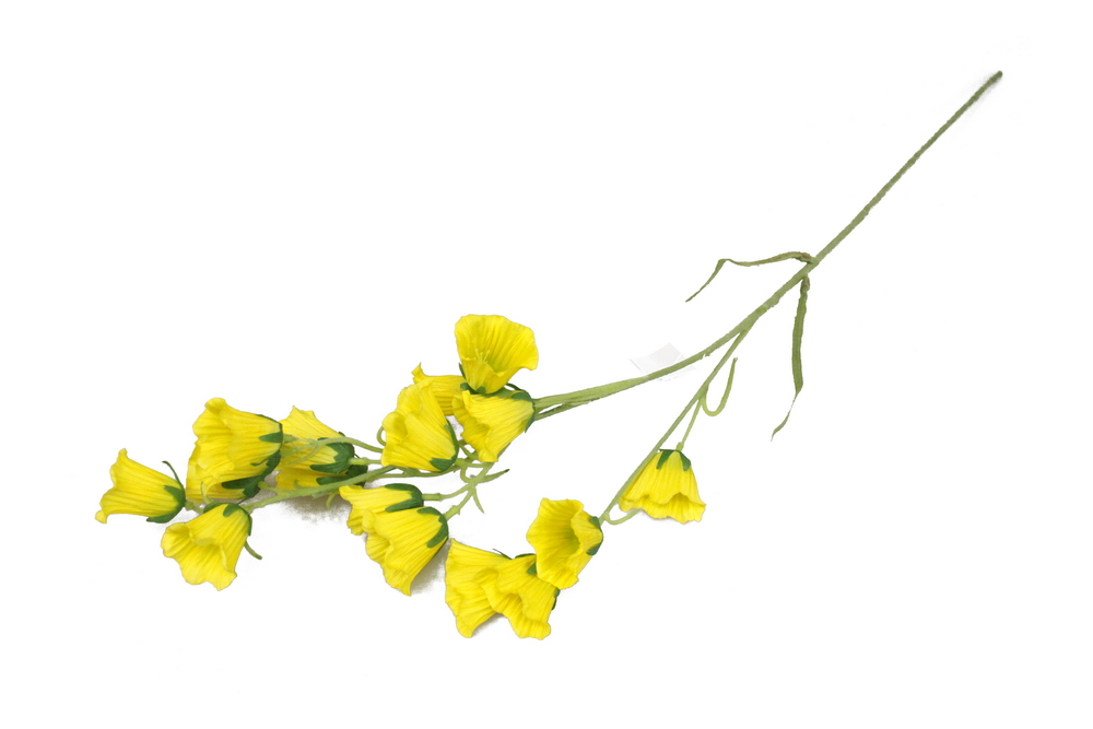 HASTE AMAR 04.L19630-YL