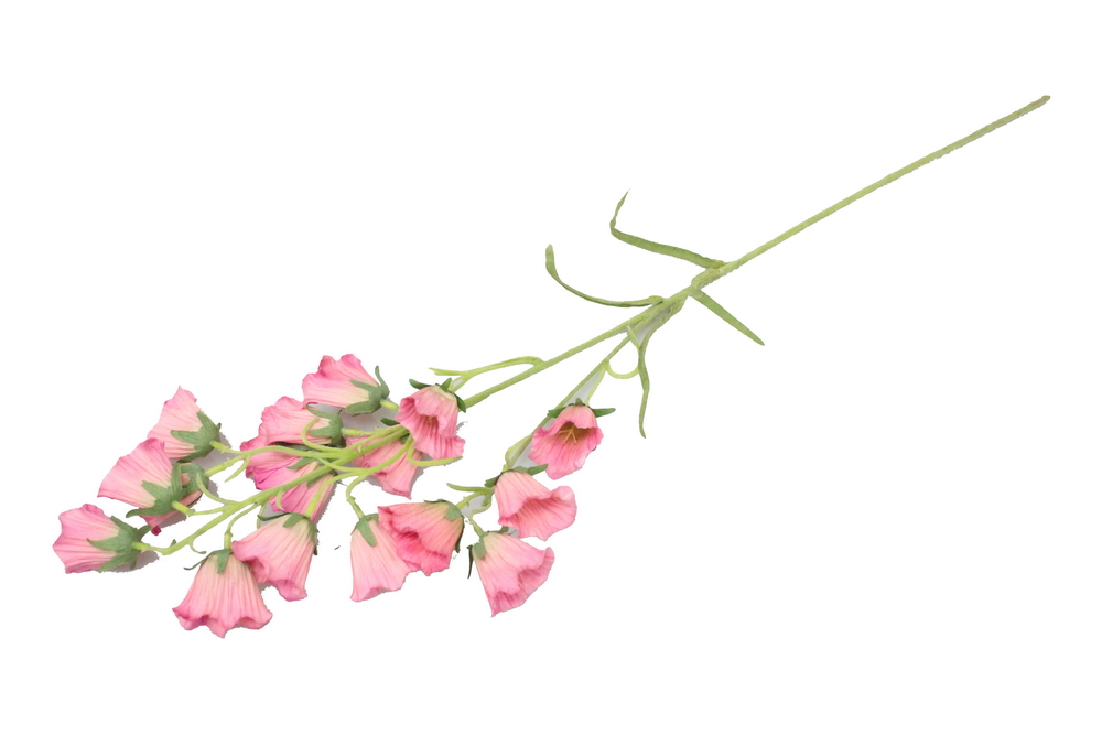 HASTE ROSA 04.L19630-DK/PK