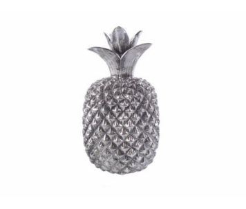 ANANAS PRATA 21x18 NY8507300