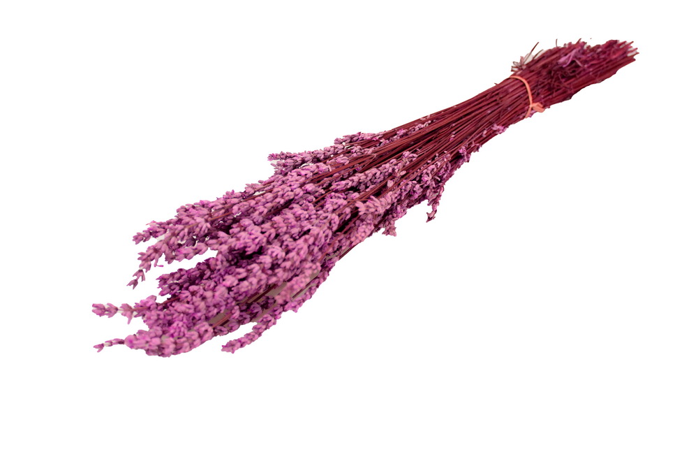 RAMO LAVANDA C41 45cm 000-51 41