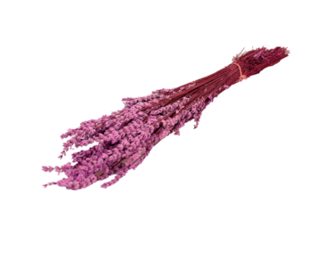 RAMO LAVANDA C41 45cm 000-51 41