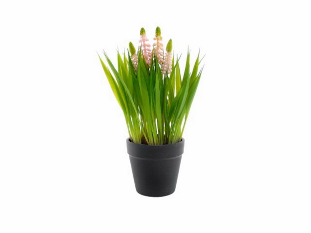 VASO HYACINTH RS 25cm 04.0011412