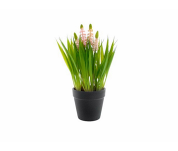 VASO HYACINTH RS 25cm 04.0011412