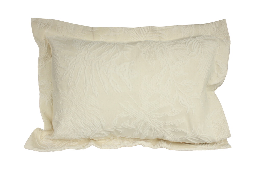 FRONHA PANAMA 50x70 C2 CRU