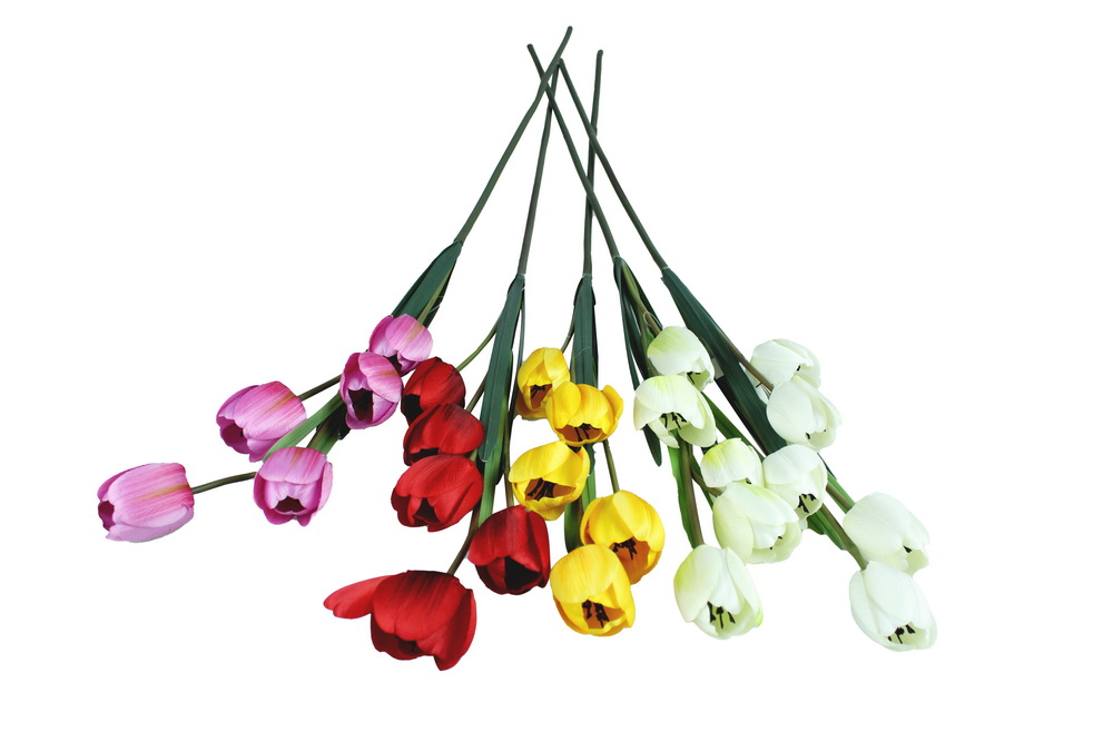 HASTE TULIPAS X 5 28010