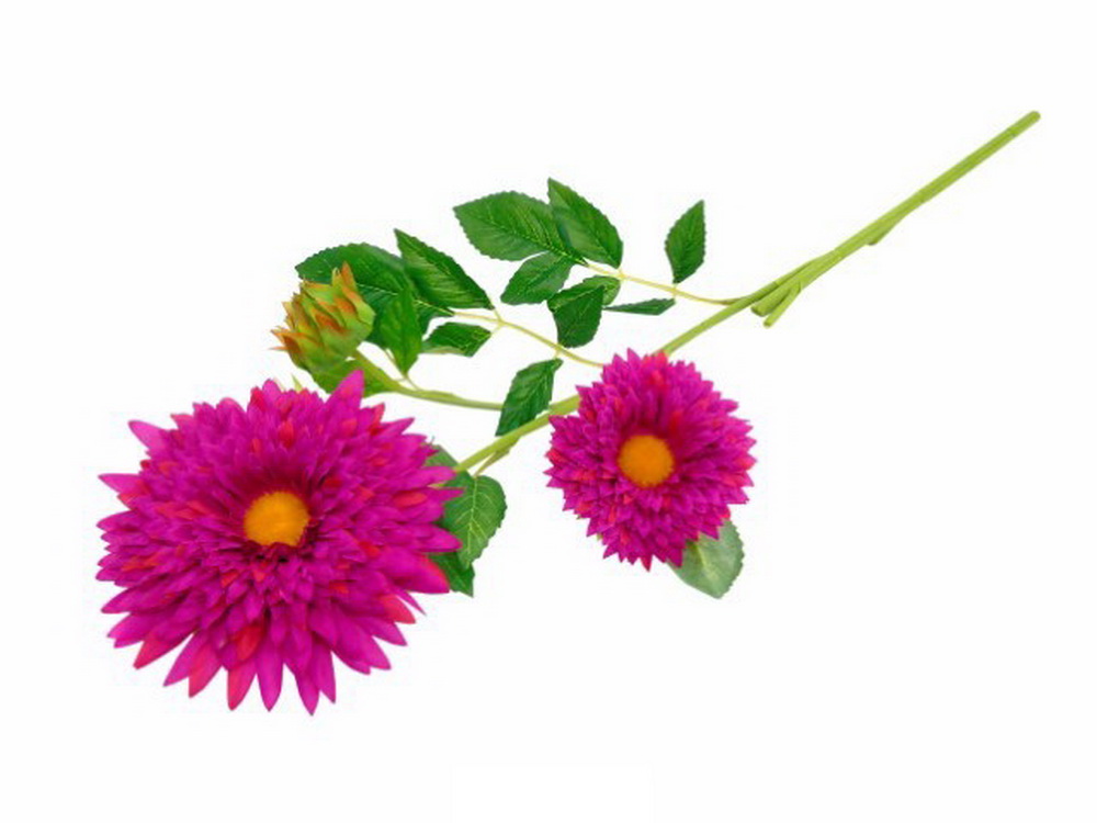 HASTE GERBERA FUSCHIA 70cm 04.0009820