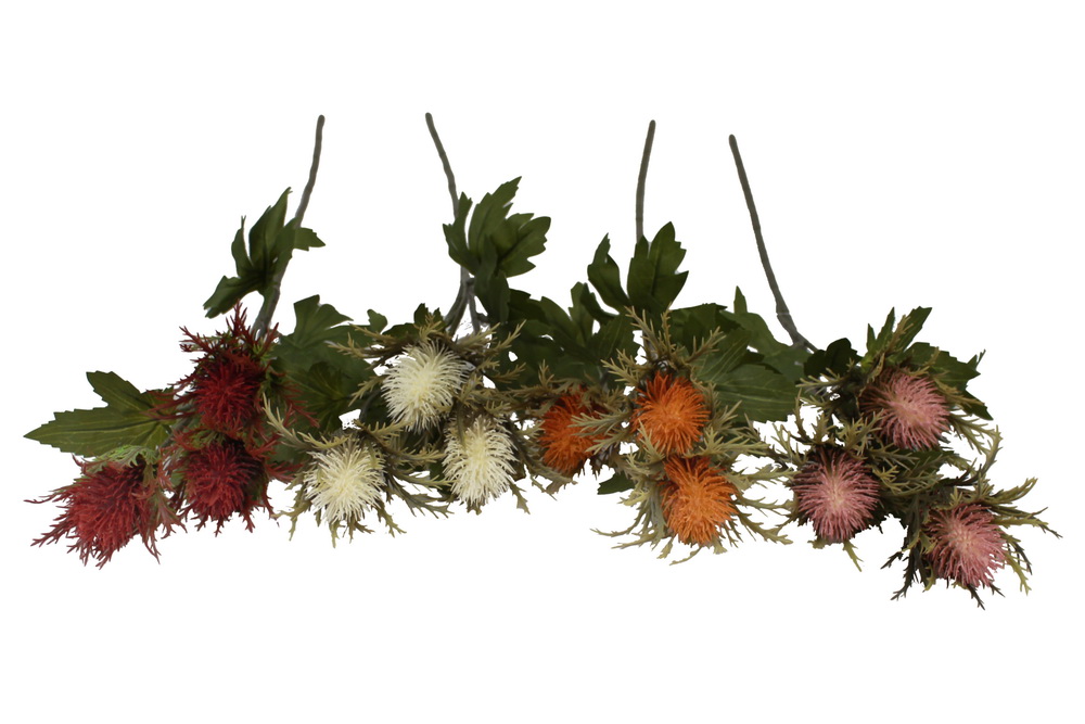 HASTE CARDOS X 3 PASTEL 68cm 20309