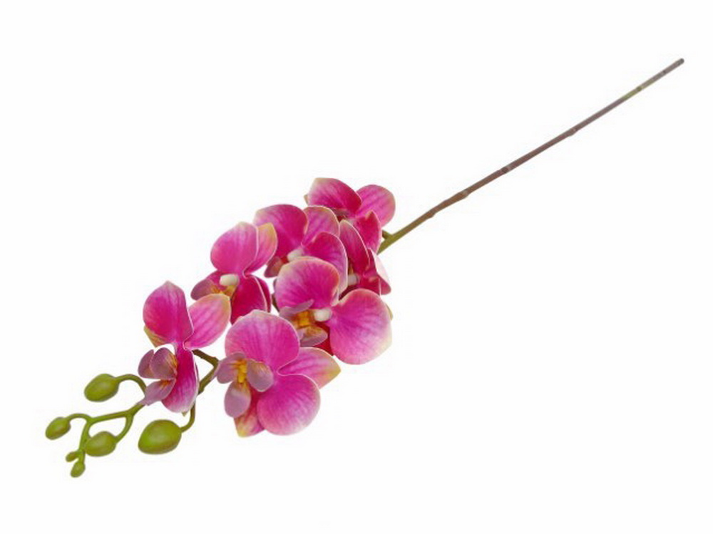 ORQUIDEA ROSA 64cm 04 0011889