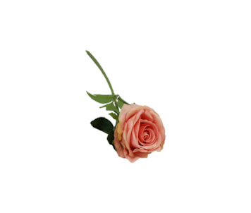 HASTE ROSA VELUDO 50cm 61002