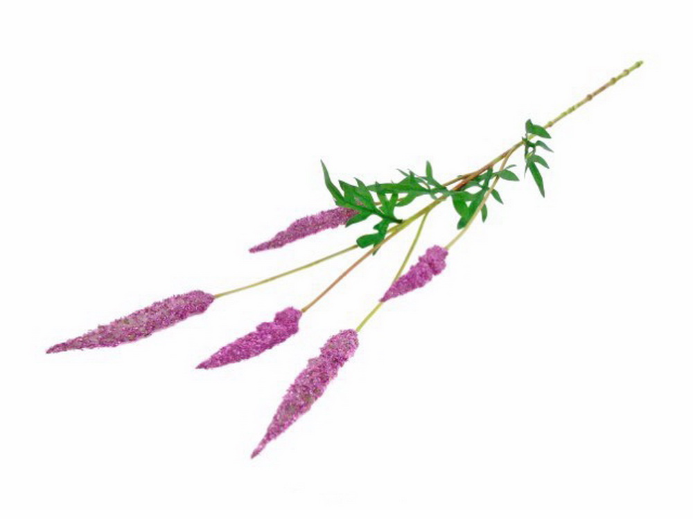 HASTE FLOR BEAUTY 80cm 04.0009666