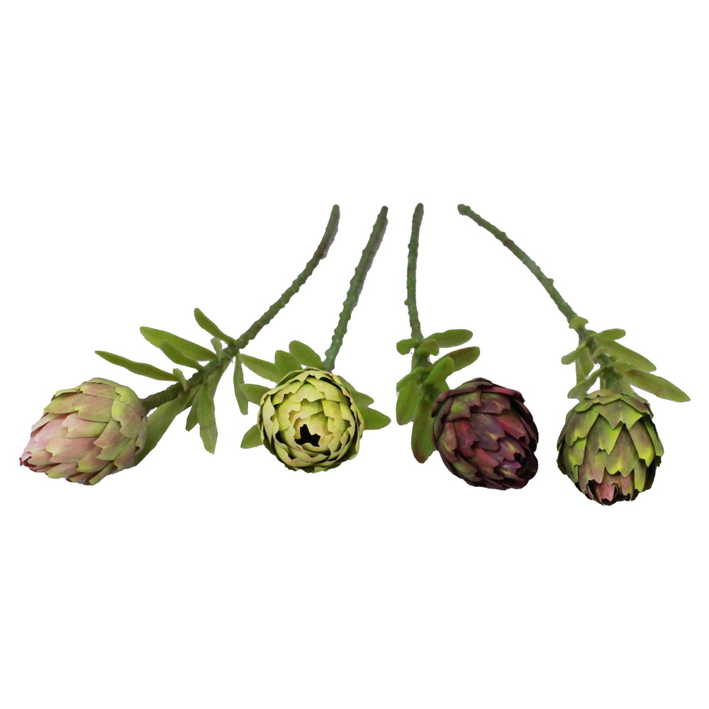 HASTE CIRSIUM 56cm 20240