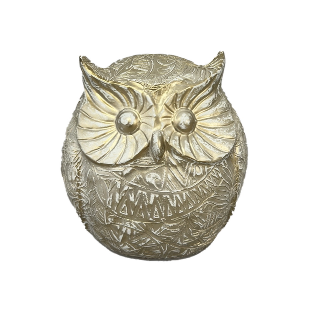 MOCHO RES 15x16x14  DOU 1A0937