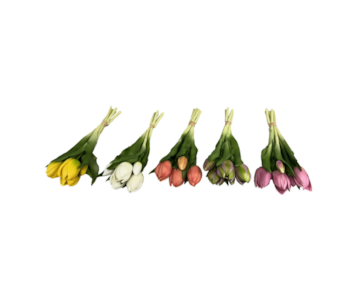 RAMO 5 TULIPAS 30cm 20768