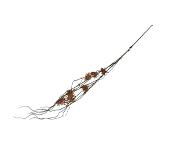 HASTE RAIZ 120cm 6246